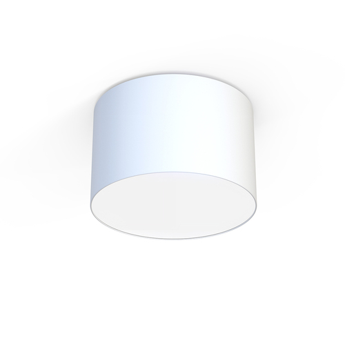 Kontrollera Belysningsarmatur CAMERON WHITE III