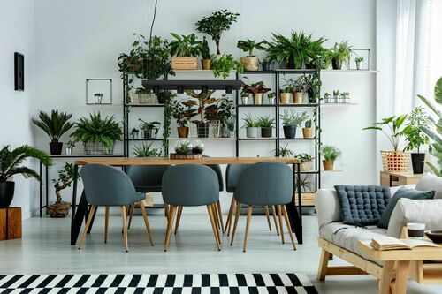 Kontrollera Taklampa PLANT BLACK