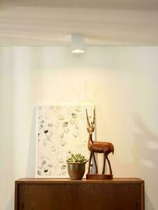 Downlight Lucide BODI vit GU10 justerbar LED 09101/01/31 small 2
