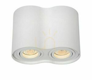 Downlight Lucide TUBE 2xGU10 vit aluminium 22952/02/31 small 0