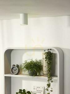 Lucide BENTOO-LED utanpåliggande takspot vit GU10 LED 5 W 3000 K Ø8 cm 09912/05/31 small 2