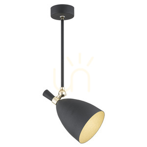 Hängande lampa ARGON CHARLOTTE svart mässingspläterad 4686 small 0