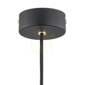 Hängande lampa ARGON Oakland rökig svart, glas, G9, SKU 4716 small 3