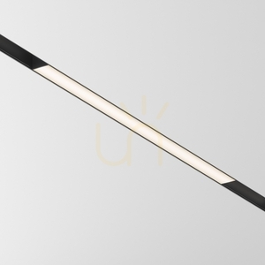 BASIS skenlampa TR012-2-20W3K-B Maytoni small 0