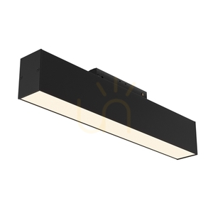 BASIS skenlampa TR012-2-12W3K-B Maytoni small 1