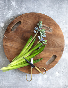 Rotbricka i teak - natur - L small 2