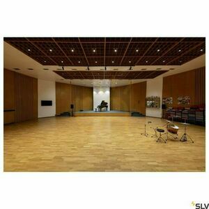 SLV NUMINOS L DALI 3-fas skenspot svart 19 W 3000 K 1004563 small 4
