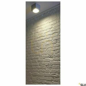 Utomhustaklampa SLV BIG THEO grå/aluminium IP44 75W 229554 1 Utomhustaklampa SLV BIG THEO grå/aluminium IP44 75W 229554 small 1