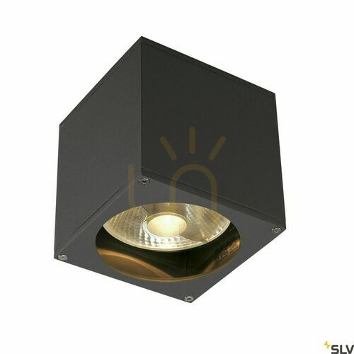 Kontrollera SLV BIG THEO WALL utomhusvägglampa antracit GU10 IP44 229565