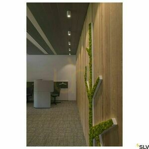 Taklampa SLV TRILEDO Round CL vit aluminium GU10 10W 1002011 small 1