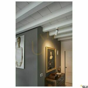 Taklampa SLV NUMINOS Spot XL Phase vit/svart 36W 3000K 1006093 small 3