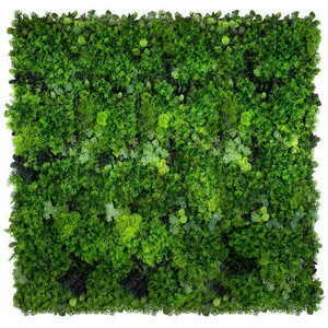 Vertikal trädgård med mossnät small 1