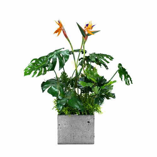 Kontrollera Insats för blomkruka Sunrise