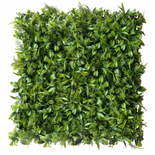 Kontrollera Peperomia grön vägg 40x60cm