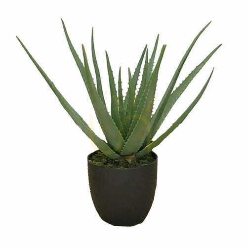 Kontrollera Konstgjord Aloe 58cm i kruka