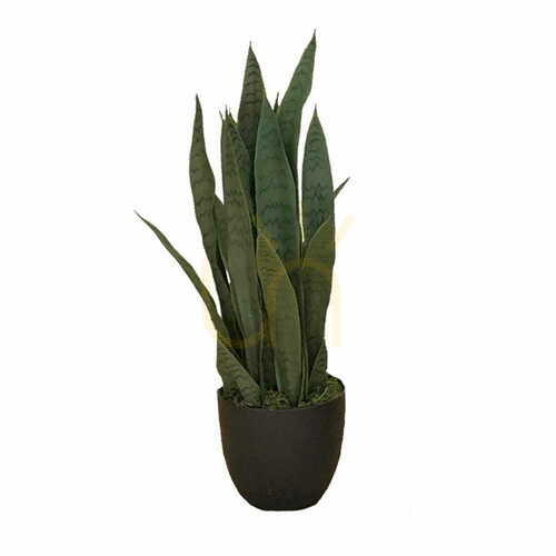 Kontrollera Konstgjord växt Sansevieria Zelenica 65cm