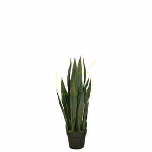 Konstgjord växt Sansevieria Zelenica 90cm 1 Konstgjord växt Sansevieria Zelenica 90cm small 1