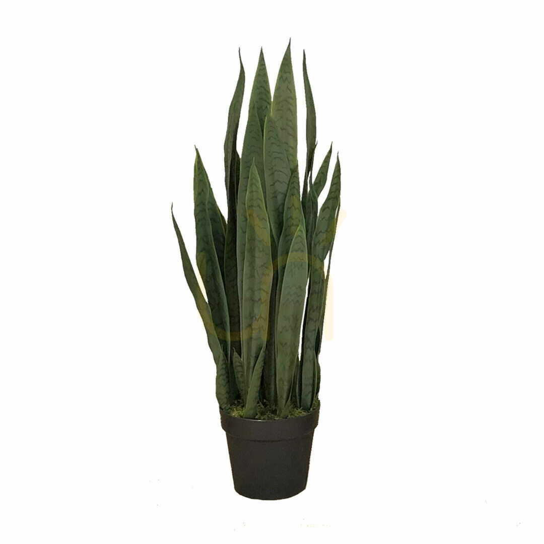 Kontrollera Konstgjord växt Sansevieria Zelenica 90cm Konstgjord växt Sansevieria Zelenica 90cm