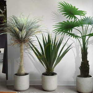 Dekorativ växt Agave Americana 100cm small 1