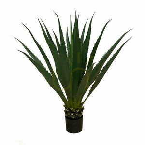 Dekorativ växt Agave Americana 100cm small 0