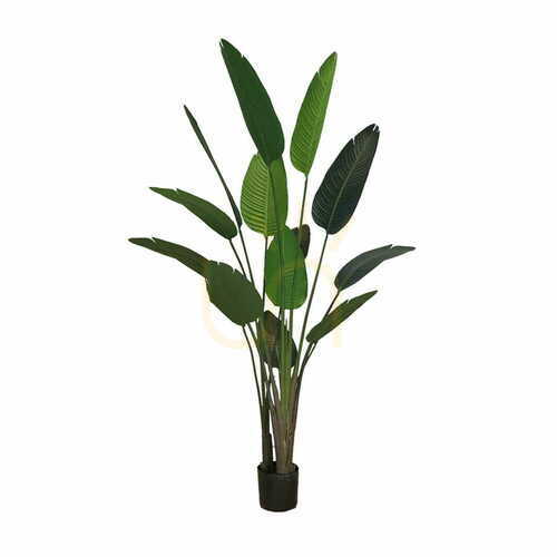 Kontrollera Konstgjord krukväxt Strelitzia 220cm
