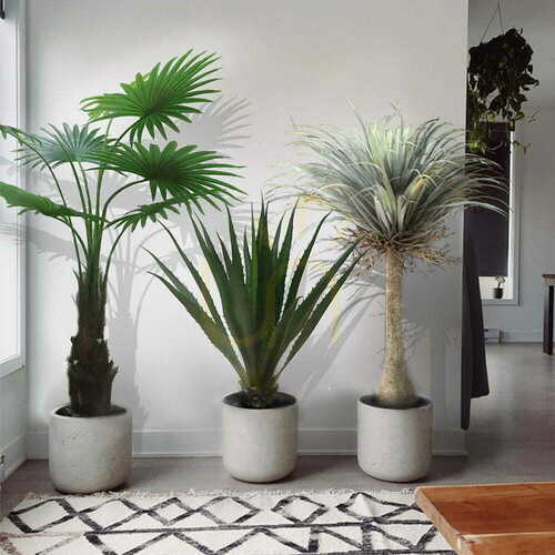 Kontrollera Konstgjord palm i kruka Washingtonia Robusta 140cm