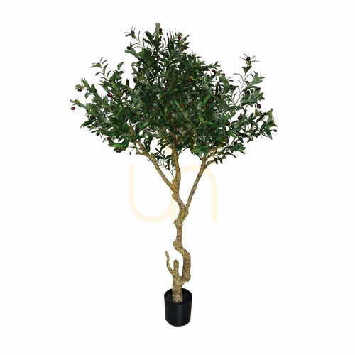 Kontrollera Konstgjort olivträd Oliv 205cm