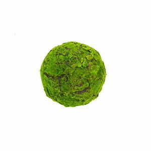 Dekorativ mossboll 25 cm small 0