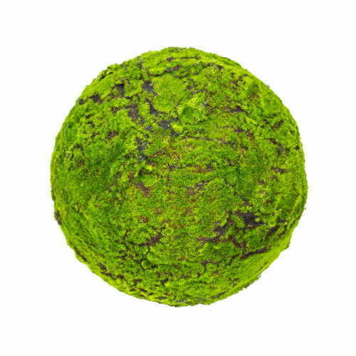 Kontrollera Stor mossboll 45 cm