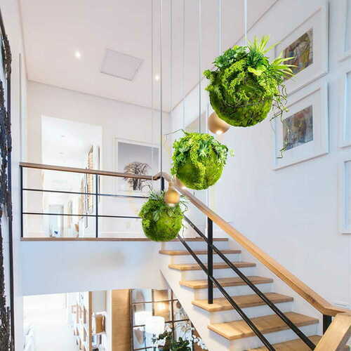 Kontrollera Dekorativ kokedama Moss Ball 35 cm