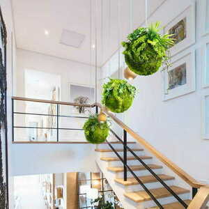 Dekorativ kokedama Moss Ball 35 cm small 1