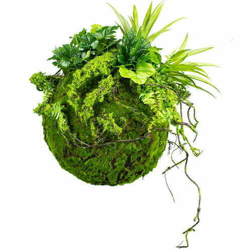 Kontrollera Dekorativ kokedama Moss Ball 35 cm