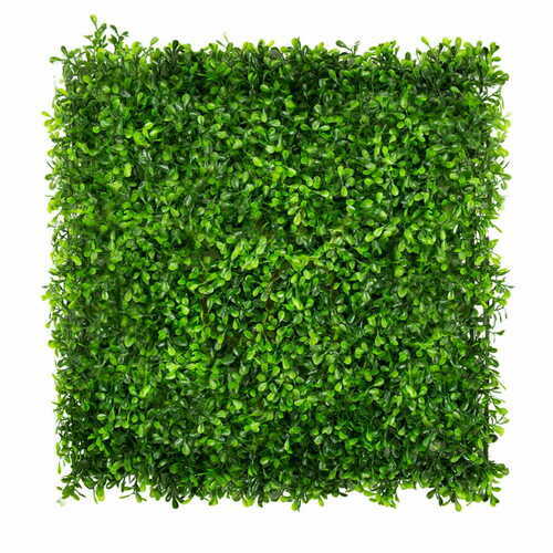 Kontrollera Grön vägg Green Wort 40x60cm