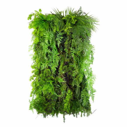 Kontrollera Green Designers Limba Wilderness vertikala trädgård GD119 50 × 100 cm