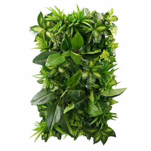 Kontrollera Vertikal trädgård Tropical Freshness