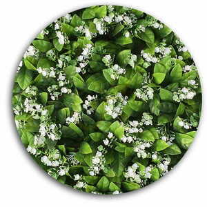 Skrivelse Rukiew 4 Skrivelse Rukiew small 4