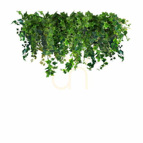 Kontrollera Ivy Rain 100cm nedpendlat tak