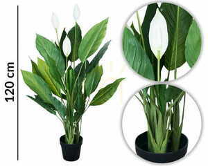 Dekorativ växt Wingflower 120cm small 1