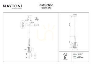 COPITA taklampa P003PL-01G Maytoni small 2