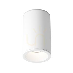Plafond ZOOM C029CL-01-S-W IP54 Maytoni small 1