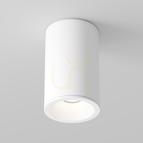 Kontrollera Plafond ZOOM C029CL-01-S-W IP54 Maytoni