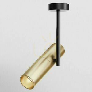 Plafond ELTI C020CL-01GB Maytoni small 0