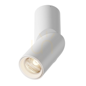Plafond DAFNE C027CL-L10W Maytoni small 1