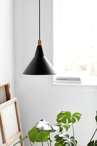BRASSY DFTP E27 25W Metallpendellampa Svart small 3