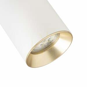 Rendl DARIO R13870 spotlight för 1-fasskena, vit / borstad mässing, GU10 small 5