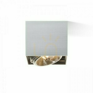 Downlight Dean I Borstad aluminium 230 V/12 V G53 50 W. small 2