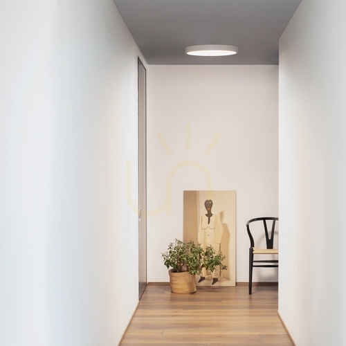 Kontrollera Plafond utomhus Ideallux RAY PL D60 vit LED 60 cm 327693