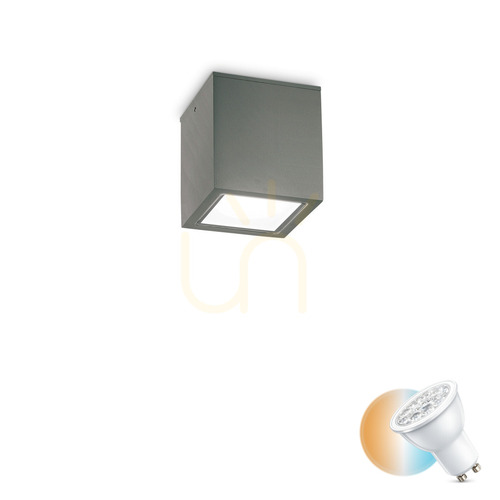 Kontrollera Takplafond Ideallux Techo PL1 Small antracit GU10 IP54 251554