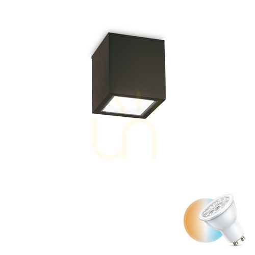 Kontrollera Utomhusplafond Ideallux TECHO PL1 Small Nero svart GU10 251578