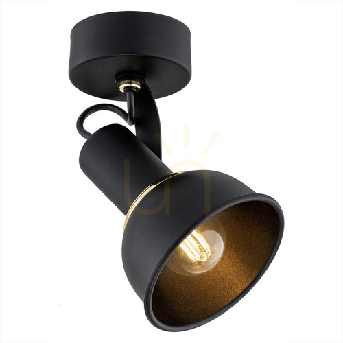 Kontrollera Justerbar vägglampa Argon TWIST 4900, svart med mässingspläterade detaljer, E14